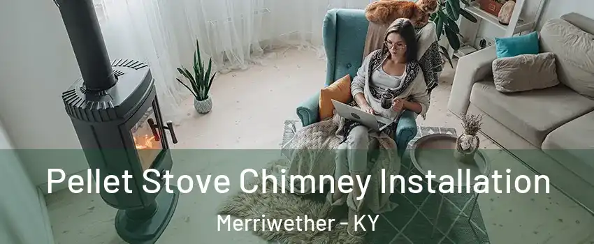 Pellet Stove Chimney Installation Merriwether - KY