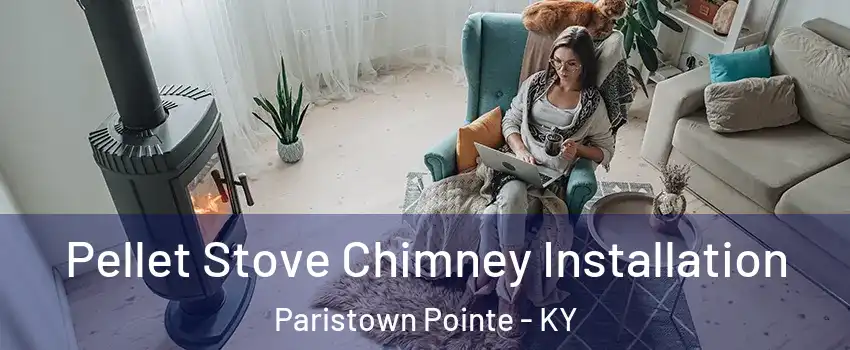 Pellet Stove Chimney Installation Paristown Pointe - KY