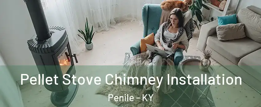 Pellet Stove Chimney Installation Penile - KY