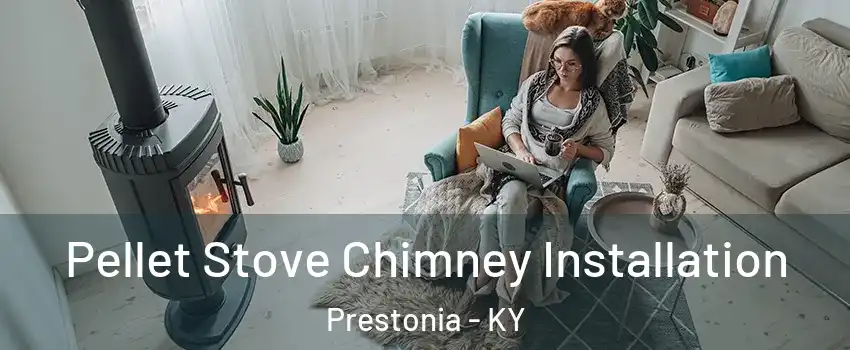 Pellet Stove Chimney Installation Prestonia - KY