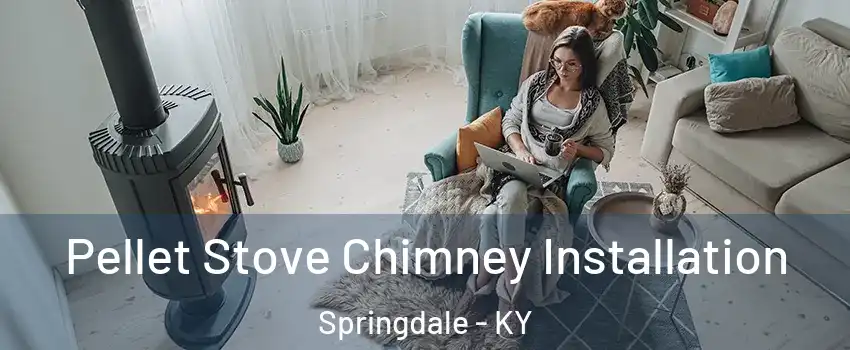 Pellet Stove Chimney Installation Springdale - KY