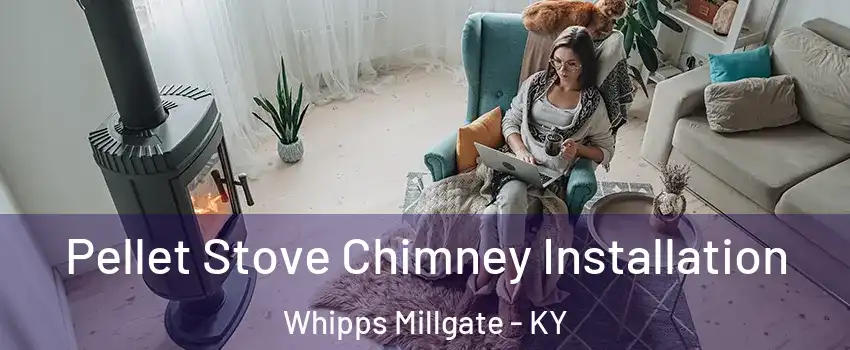 Pellet Stove Chimney Installation Whipps Millgate - KY