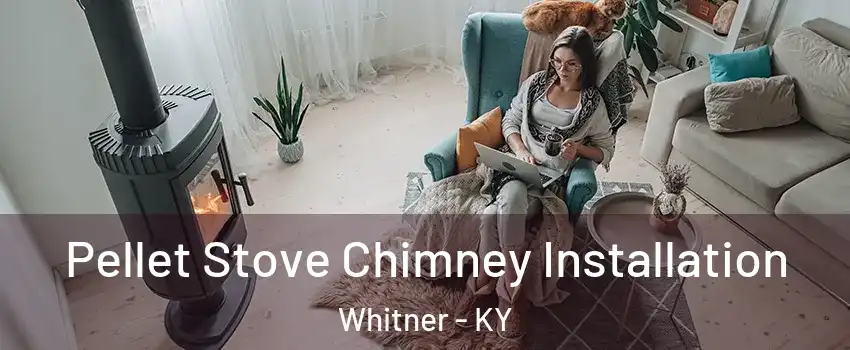 Pellet Stove Chimney Installation Whitner - KY