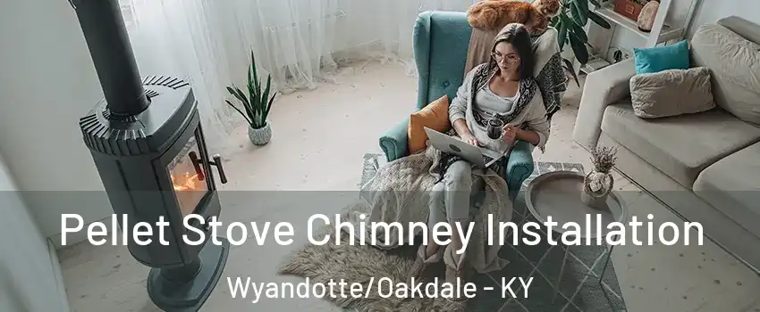 Pellet Stove Chimney Installation Wyandotte/Oakdale - KY