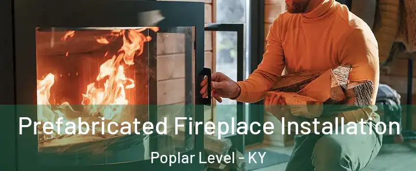 Prefabricated Fireplace Installation Poplar Level - KY