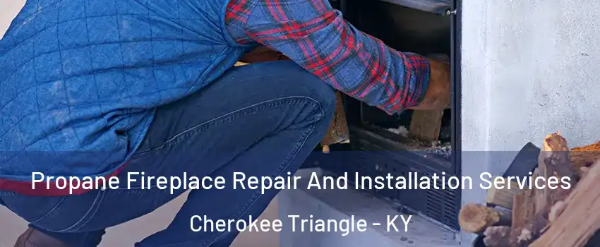 Propane Fireplace Repair And Installation Services Cherokee Triangle - KY