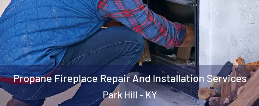 Propane Fireplace Repair And Installation Services Park Hill - KY