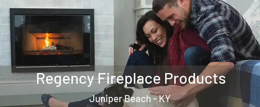 Regency Fireplace Products Juniper Beach - KY