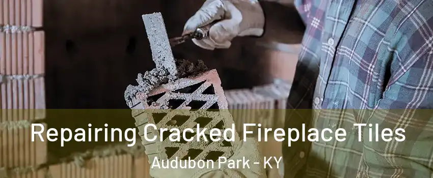 Repairing Cracked Fireplace Tiles Audubon Park - KY