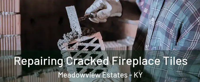 Repairing Cracked Fireplace Tiles Meadowview Estates - KY