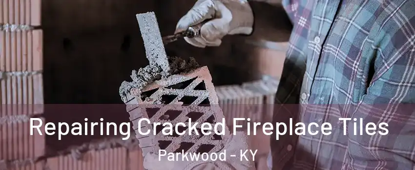 Repairing Cracked Fireplace Tiles Parkwood - KY