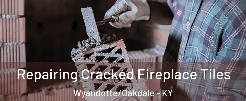 Repairing Cracked Fireplace Tiles Wyandotte/Oakdale - KY