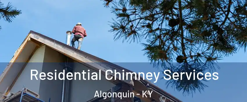 Residential Chimney Services Algonquin - KY