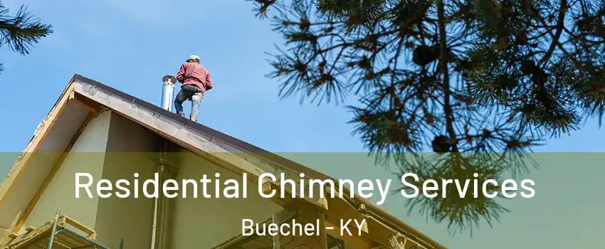 Residential Chimney Services Buechel - KY