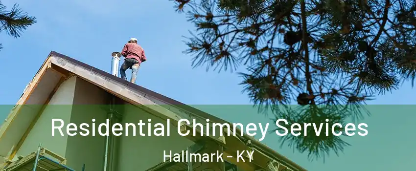 Residential Chimney Services Hallmark - KY