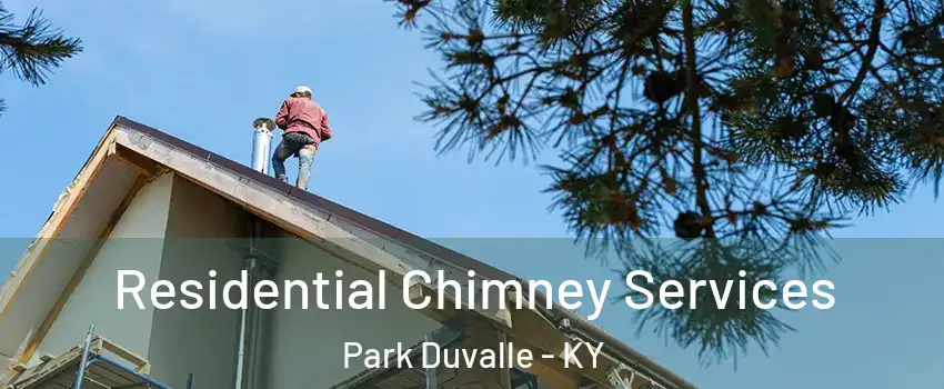 Residential Chimney Services Park Duvalle - KY