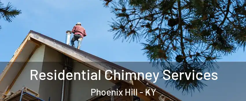 Residential Chimney Services Phoenix Hill - KY