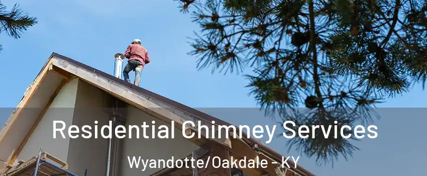 Residential Chimney Services Wyandotte/Oakdale - KY