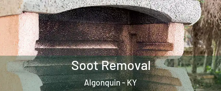 Soot Removal Algonquin - KY