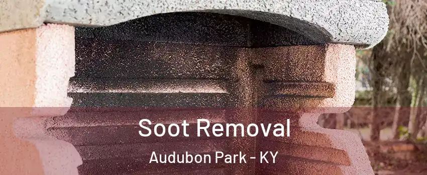 Soot Removal Audubon Park - KY