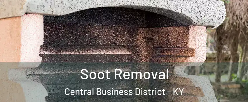 Soot Removal Central Business District - KY