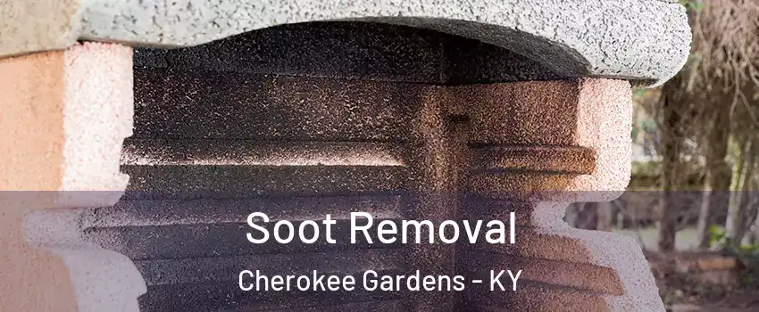 Soot Removal Cherokee Gardens - KY