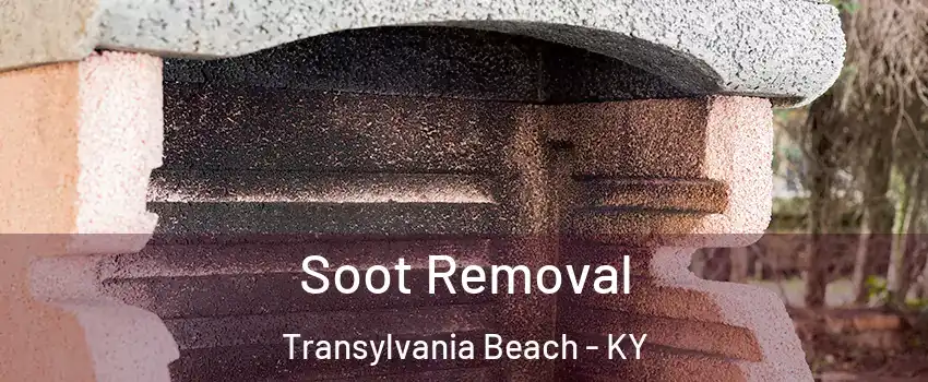 Soot Removal Transylvania Beach - KY