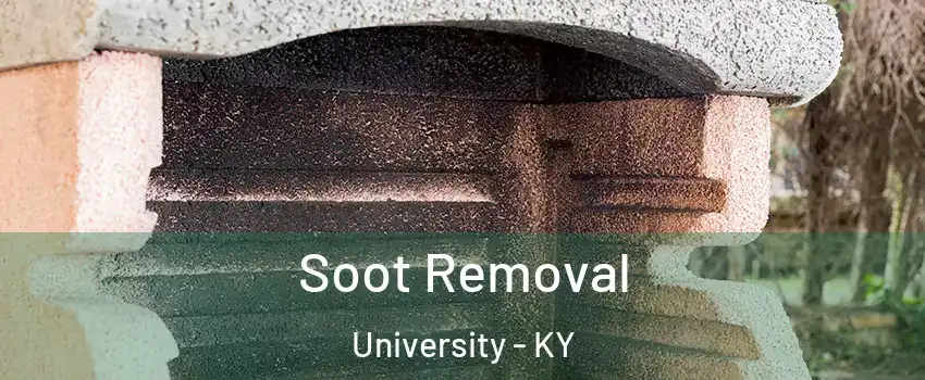 Soot Removal University - KY