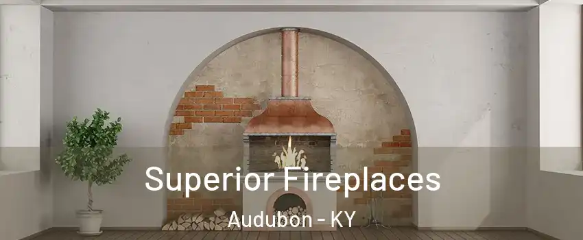 Superior Fireplaces Audubon - KY