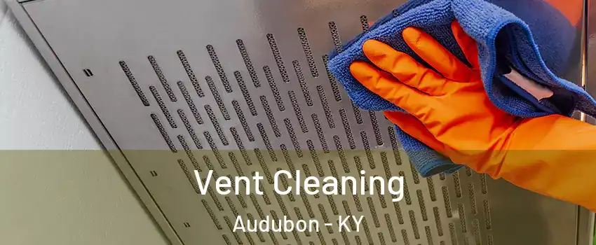 Vent Cleaning Audubon - KY