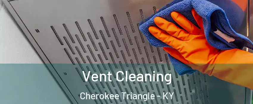 Vent Cleaning Cherokee Triangle - KY