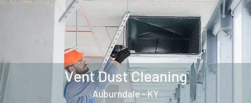 Vent Dust Cleaning Auburndale - KY