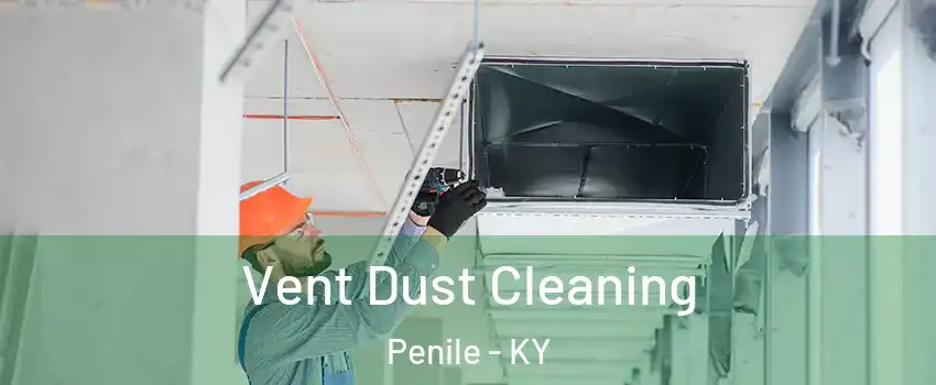 Vent Dust Cleaning Penile - KY