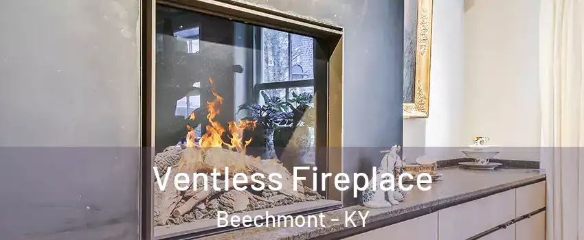 Ventless Fireplace Beechmont - KY