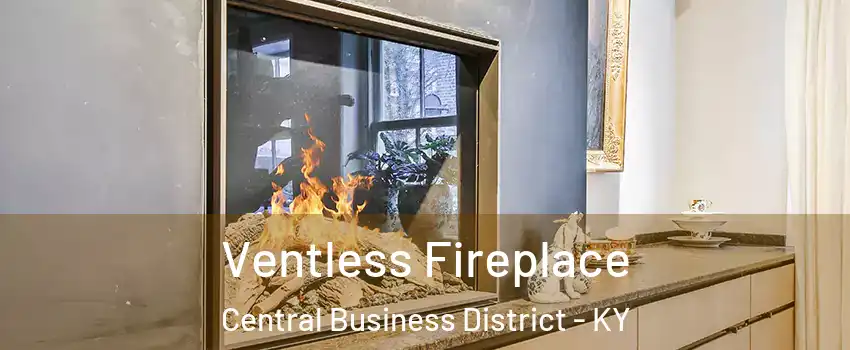 Ventless Fireplace Central Business District - KY