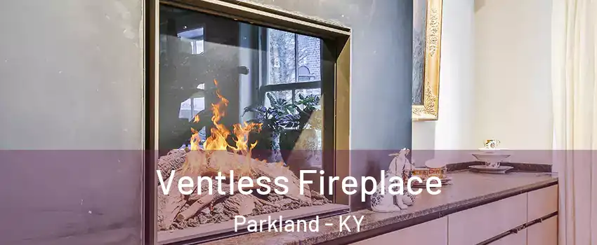 Ventless Fireplace Parkland - KY