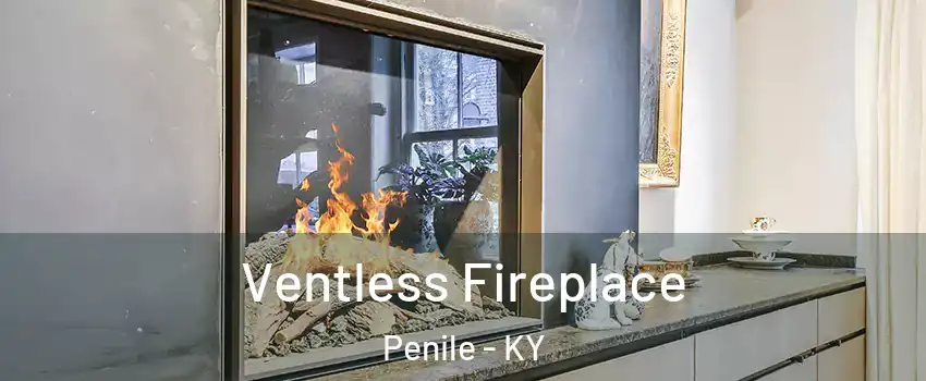 Ventless Fireplace Penile - KY