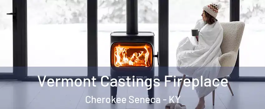 Vermont Castings Fireplace Cherokee Seneca - KY