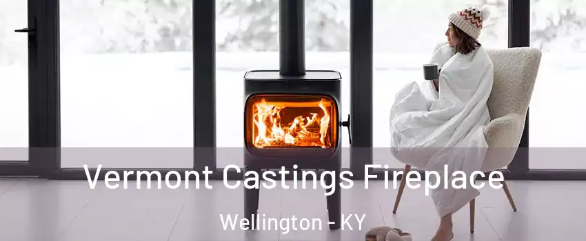 Vermont Castings Fireplace Wellington - KY