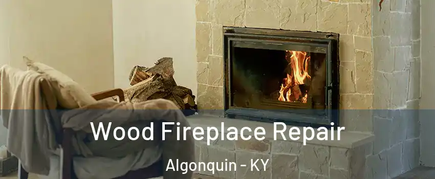 Wood Fireplace Repair Algonquin - KY