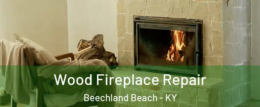 Wood Fireplace Repair Beechland Beach - KY