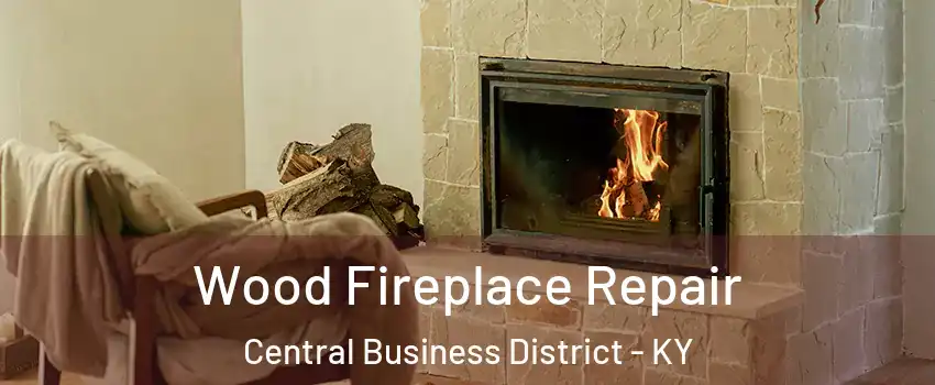 Wood Fireplace Repair Central Business District - KY