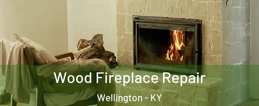 Wood Fireplace Repair Wellington - KY