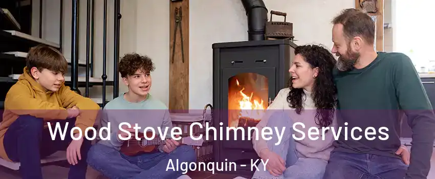 Wood Stove Chimney Services Algonquin - KY