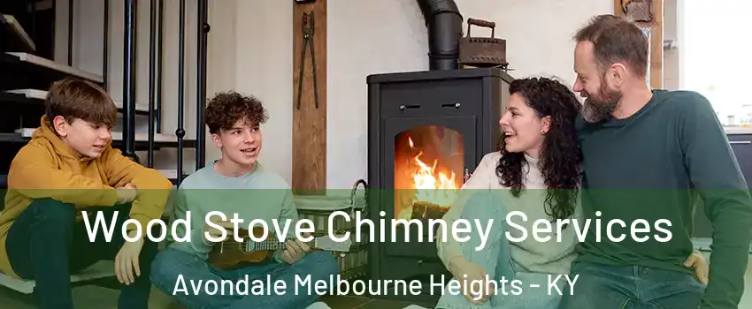 Wood Stove Chimney Services Avondale Melbourne Heights - KY