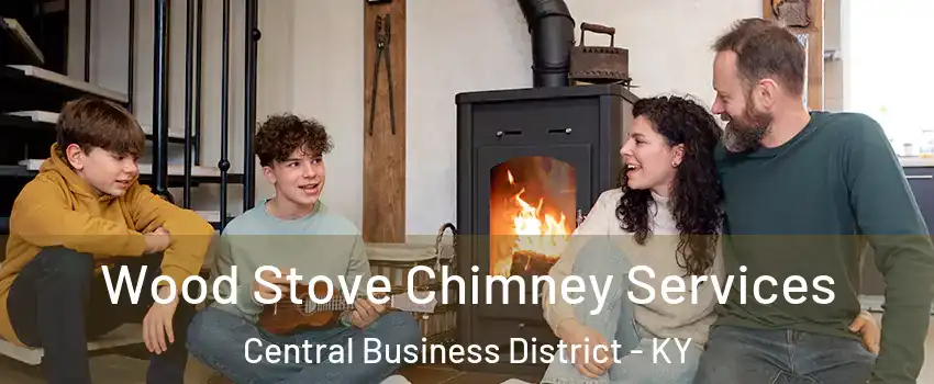 Wood Stove Chimney Services Central Business District - KY