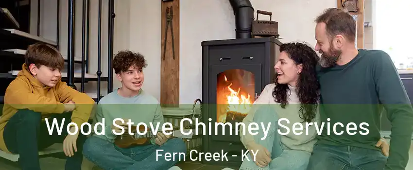 Wood Stove Chimney Services Fern Creek - KY