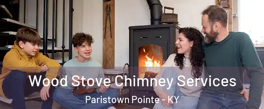 Wood Stove Chimney Services Paristown Pointe - KY