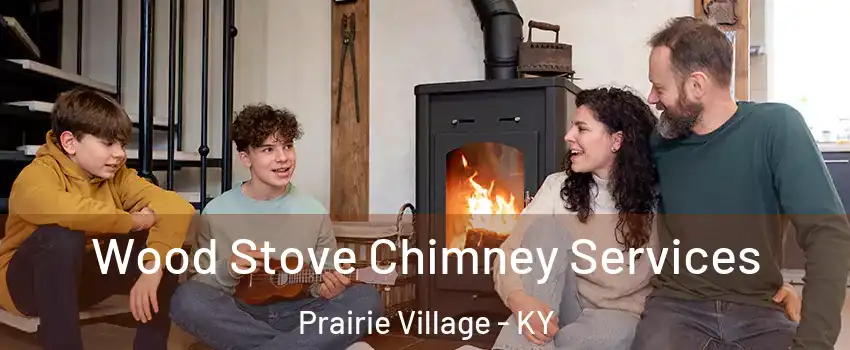 Wood Stove Chimney Services Prairie Village - KY