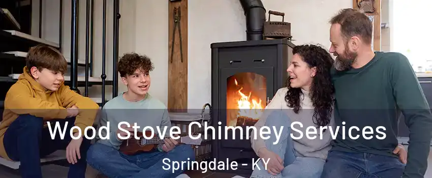 Wood Stove Chimney Services Springdale - KY